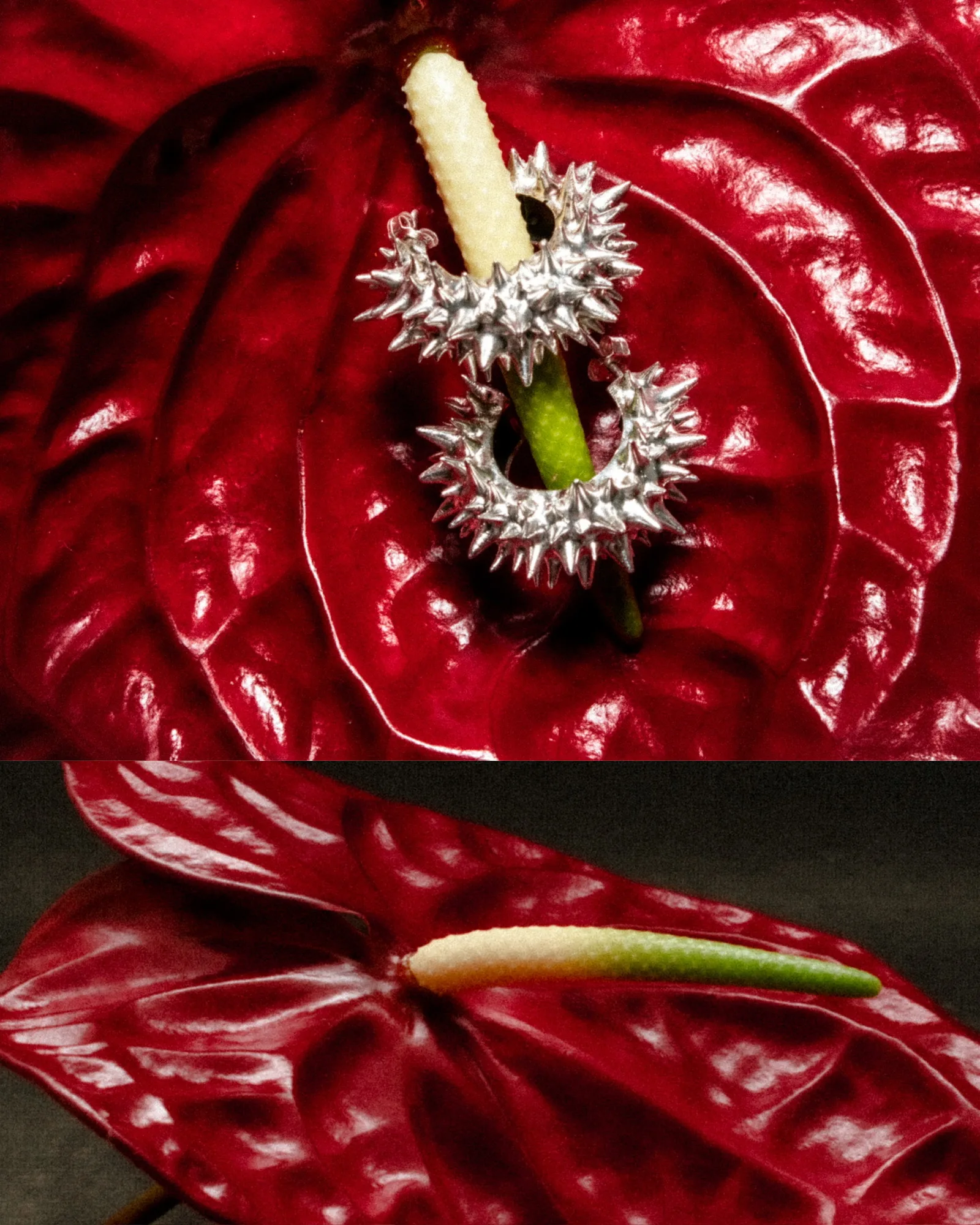Thorns