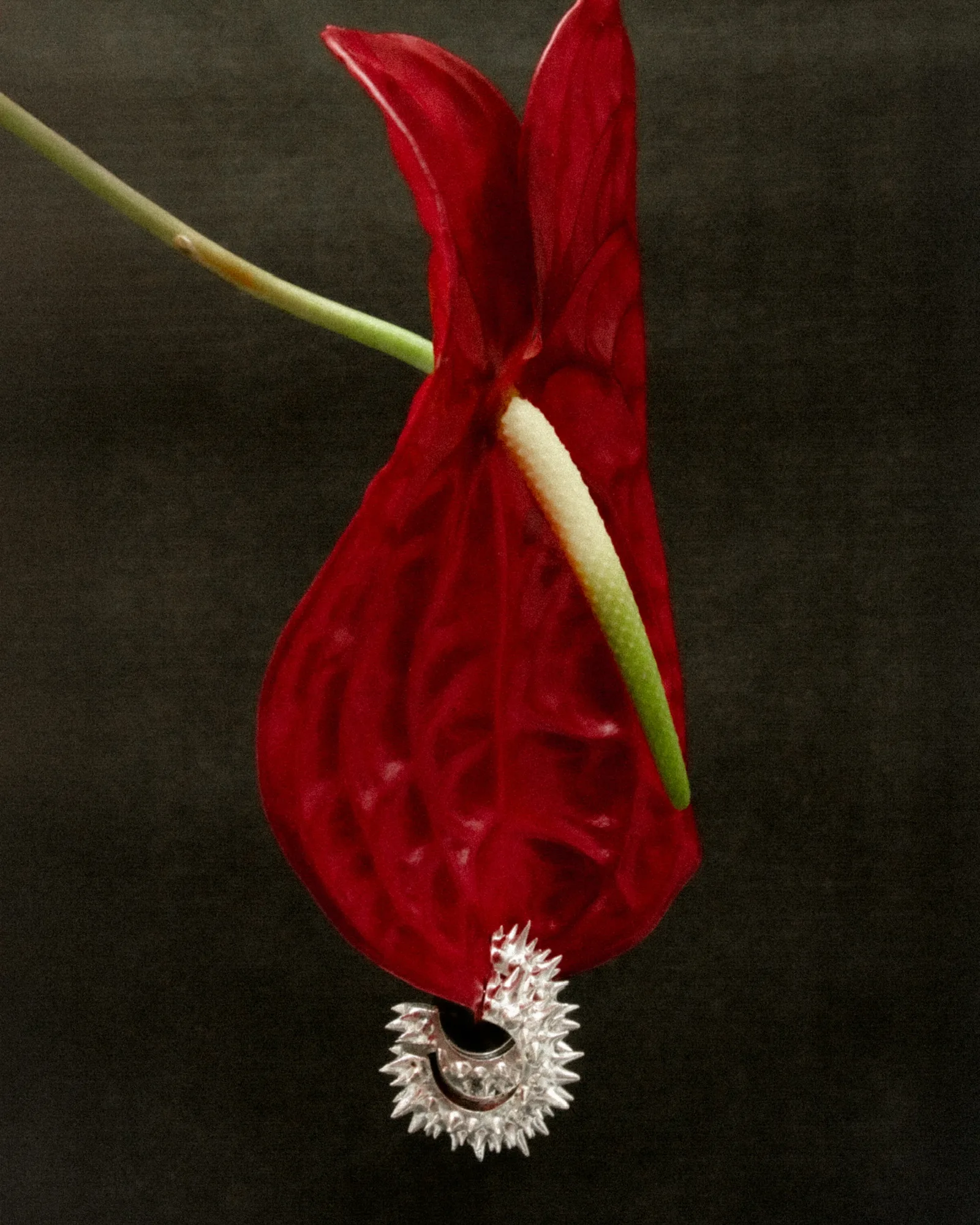 Thorns